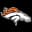Denver Broncos