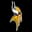Minnesota Vikings