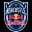Newcastle Red Bulls